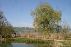 DSC00012
