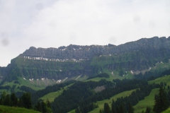 DSC00234