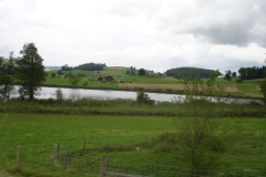 DSC00421