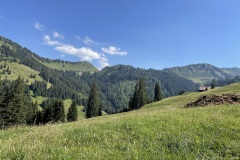Foto-16.07.22-17-11-54