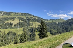 Foto-16.07.22-17-12-21