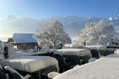 f1cb0b6b-cef3-40cd-8305-06c4664a6209