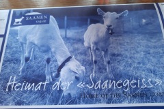 57465d53-daf8-43a3-b2ad-e47313dd127d