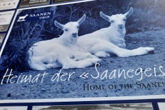 b92fcd2c-b311-40db-bc6e-858d11eae204