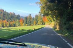 277d822a-3c9f-4ac0-9e82-c170fd4c1da4