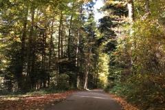 6082a22f-cd74-4cdb-b832-93abdabe6bda