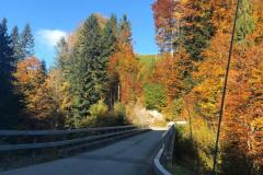 80a090f7-1142-4e8b-a53c-7bbc5ae2a97b