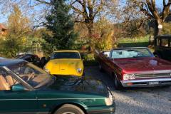 eeb464ee-bd69-495e-b620-7090f7e12b72