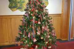 IMG-20201206-WA0001